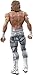 WWE Dolph Ziggler Action Figure