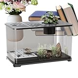 Pecera - Pecera Grande De Escritorio para Peces,Contenedor Panorámico con Zona para Tortugas Y Plantas Acuáticas, para Guppys, Gambas, Caracoles Y Decoración De Escritorio
