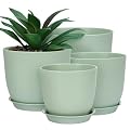 Whonline Plastic Planter