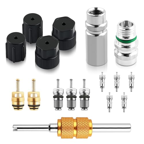 YGDMD 17PCS Car Air Conditioner Valve Core Tool Kit Portable A/C Valve Stem Core Set Includes Cores Tool/Cores Port/Cap for Improving Cooling Capacity Professional R134A R12 AC Tools