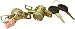 Well Auto Door Lock W/key(L& R) for 96-99 Nissan Maxima