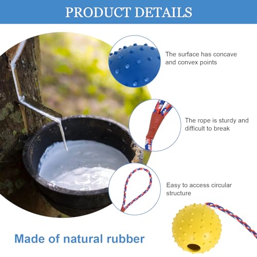 Disnace Durable Balls For Dogs,Dog Rope Ball,Ball With Rope Dog Toy,Natural Elastic Solid Rubber Dogs Balls,Hollow Rubber Ball,Interactive Dog Ball On a String-Yellow & Blue (ø 7 X 30) - Image 3