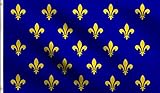 DMSE Blue Fleur De Lis Many France Royal Muti Flag 3X5 Ft Foot 100% Polyester 100D Flag UV Resistant (3' X 5' Ft Foot)