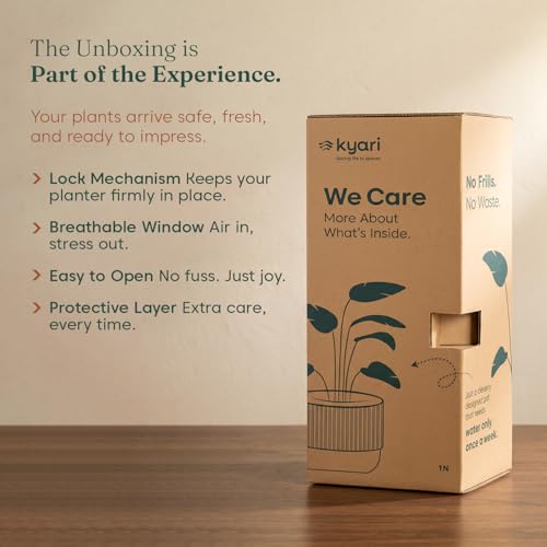 Image of Kyari Peace Lily Live Plant with Green Self Watering Pot 4 Inch - Peace Lily Indoor Live Plant with Pot for Home, Living Room, Bedroom, Office - Flowering Air Purifying Indoor Plant