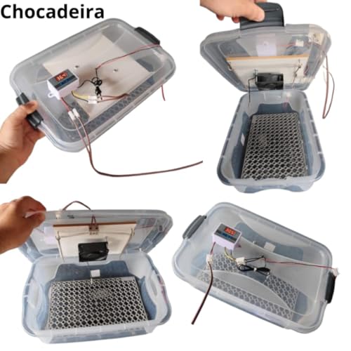 Chocadeira Com Controle De Temperatura Automático Capacidade 30 Ovos De Galinha Ou 90 De Codorna