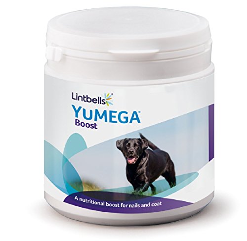 Lintbells Yumega Boost 180 Scoop Powder