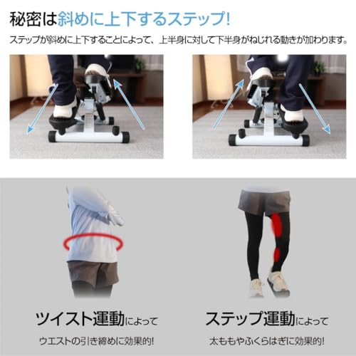 TIGORA(ティゴラ) ステッパー ツイスト機能 静音 省スペース お手軽モデル の商品画像 2