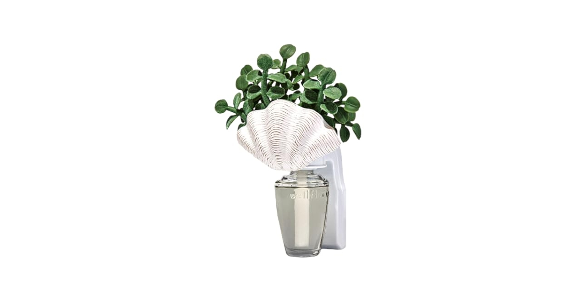41EPjDwpgWL.jpg_BO30,255,255,