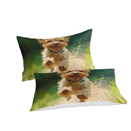 Housse de couette Yorkshire 220x240cm parure lit microfibre