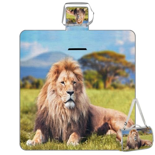 Shimoshe Picnic Blankets 57”x 59”, African L Waterproof Sandproof Picnic Mat Lightweight Foldable Beach Blanket for Camping Park Grass Beach Outdoor Blanket