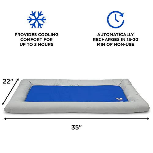 Arf Pets Dog Self Cooling Bed Pet Bed – Solid Gel Based Self Cooling Mat For Pets, Includes A Foam Based Bolster Bed For Extra Comfort #TOP2