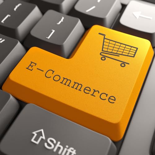 Platforms for Ecommerce Development