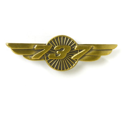 Boeing 737 Wings Pin