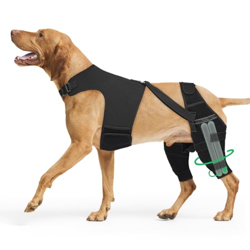 Dog Knee Brace with Harness and Stabilizers