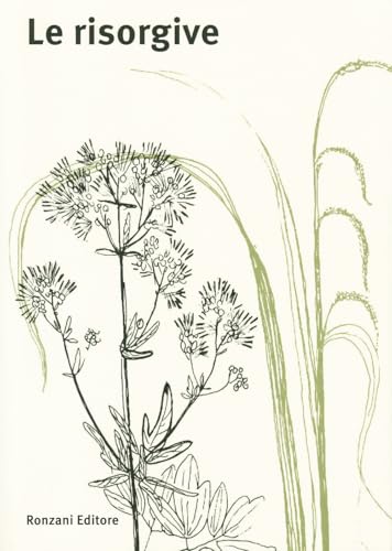 Le risorgive