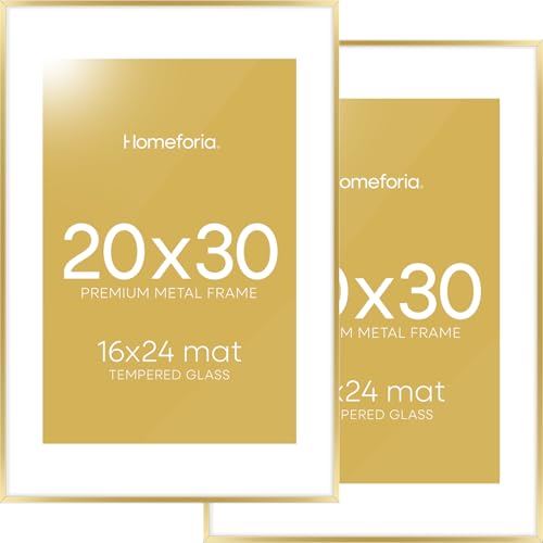 Homeforia 20x30 Gold Frame with Mat, Set of 2