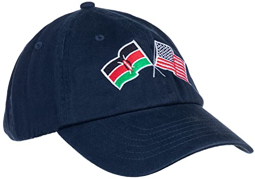 Image of Ann Arbor T-shirt Co. American Friendship Nations Flag Baseball Low Profile Dad Hat for Men Women