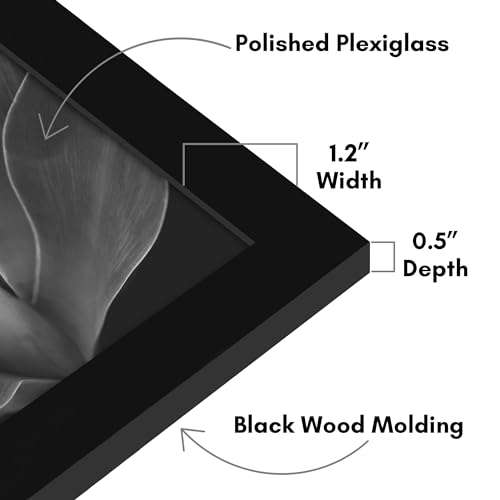 Americanflat 18x23 Poster Frame with Polished Plexiglass - Black Picture Frame - Wide Photo Frames Made of Engineered Wood for Vertical or Horizontal Wall Display - Epic Collection - Black