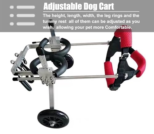 Silla de ruedas para patas traseras de perros grandes: paseos cómodos en talla XL 3