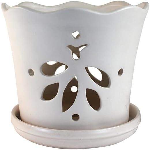 Aspen & Fig Matte White 8 Inch Indoor Orchid Plant Pot with an Attached Saucer and Drainage Hole for House Plants, Herbs, Flowers, Succulent Plants, Snake Plants, Gifts for Mom