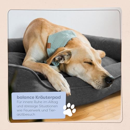 Löwenkind Dogs 100% natürliches Beruhigungsmittel für Hunde | Für innere Ruhe in Stress-Situationen zur Entspannung | Allein Sein, Tierarztbesuche, Gewitter, Feuerwerk (6 Kräuterpads, Balance-Pads)