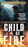 Child of Fire: A Twenty Palaces Novel