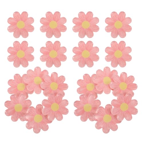 Lurrose 20?e`ĝĎM yʑϋv ԕp[eB[v[g fU[gP[Lp aOsNjbN