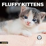 2026 Wall Calendar,Calendar 2026, July 2025 - December 2026, Wall Calendar Fluffy Kittens, 12' x 24' Opened,Full Page Months Thick & Sturdy Paper for Gift Perfect Calendar Organizing & Planning
