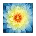 Hoffman Fabrics Hoffman Digital Dream Big 43'' Floral Panel Sunset Fabric