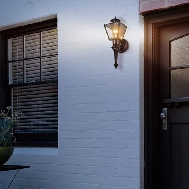 Heath HZ-4150-BK Zenith Motion-Activated Four-Sided Coach Light, Black Brass