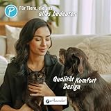 Petlando Hundegeschirr Mesh Vest, leichtes Brustgeschirr aus weichem Mesh & Nylon, stufenlos verstellbar, reflektierend mit 2 D-Ringen, Petrol M, Welpengeschirr mitwachsend
