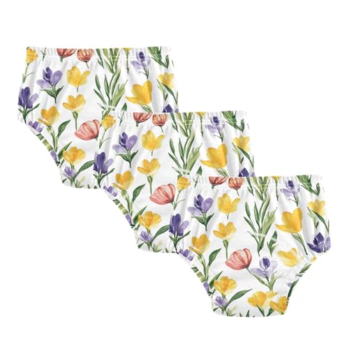 Foiosoh Baby Infant 3 Packs Potty Training Must Haves Pants Absorb Water Boxer Briefs for Boys Girls Spring Flowers Tulips Iris White