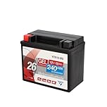 CARTEC Batteria per moto YTX12-BS, 10Ah, 180A, tecnologia gel Batteria di avviamento per moto, qualità di primo equipaggiamento, resistente ai cicli, immagazzinabile, senza manutenzione