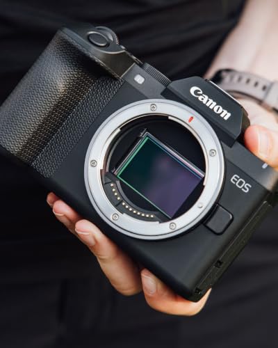 Canon EOS R8 Mark II Systemkamera Vollformat, 24,2 MP, Schwarz