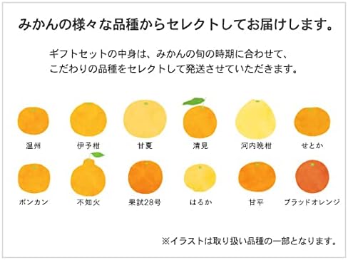 10FACTORY ギフト 愛媛みかんジュース 飲み比べ 2本(720ml) セット 箱入り 包装済 手提げ袋付 高級 無添加 国産 内祝い プレゼント 贈り物に TP552GI