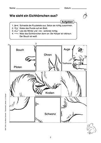 Themenheft Eichhörnchen 1./2. Klasse