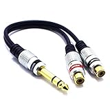 Dos conectores RCA a jack grande de 6,3 mm estéreo macho para conectar la señal de salida de audio a la entrada