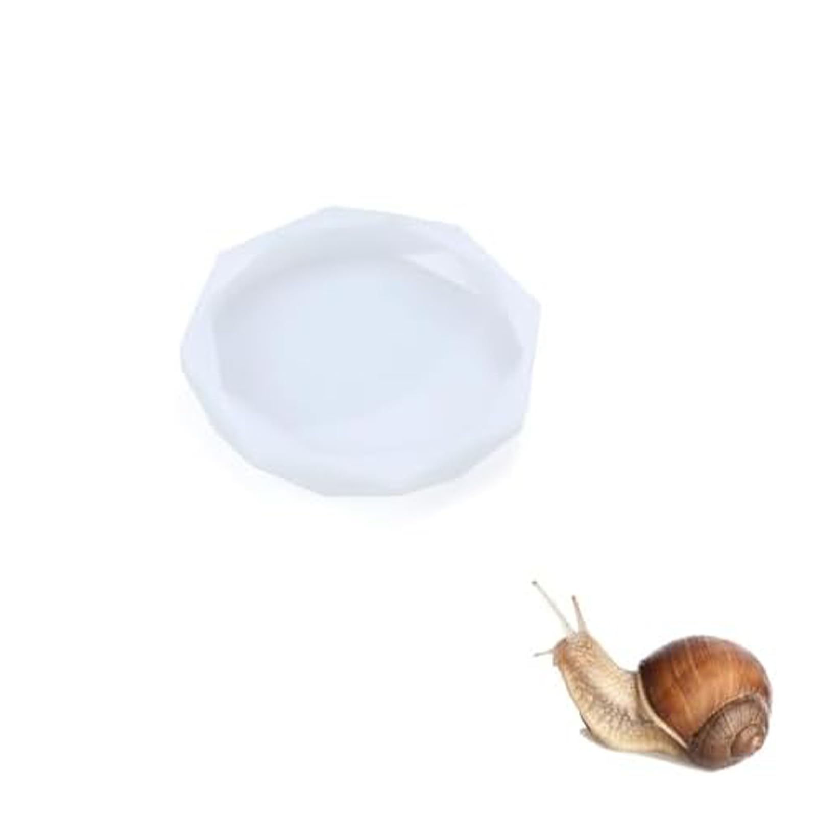2 Pack Snail Water Dish - Silicone Calcium Bowl Feeder for Land Snails (round-1PCS)