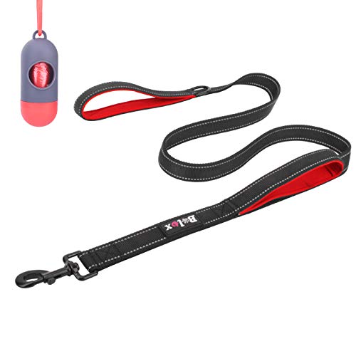 double handle dog leash