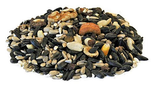 Backyard-Seeds-Berries-N-Fruit-Bird-Seed-5-Pounds Backyard Seeds Berries N Fruit Bird Seed 5 Pounds