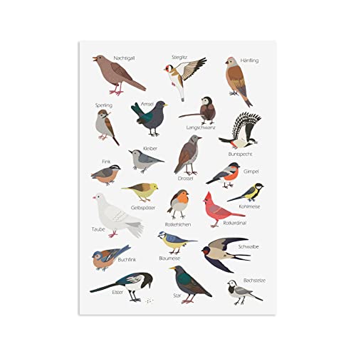 Nastami Postkarte Gartenvögel Grußkarte VÖGEL Gartenvögel