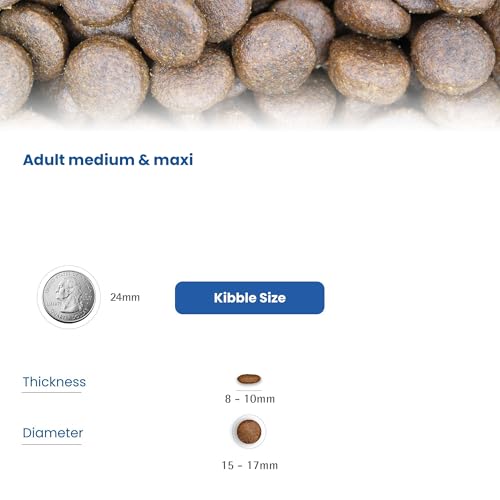 Farmina N&D Pumpkin Adult Medium/Maxi Dog Food | Chicken, Pomegranate & Pumpkin |Rich in Anti-oxidants| Complete Food for Adult Dogs | 12kg | No Artificial Preservatives