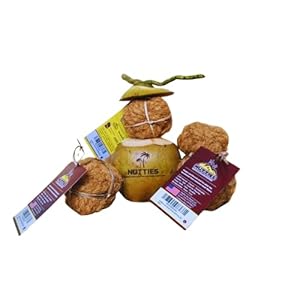 Nutties Coconut Husk Fiber Ball Toy and Magic Toothbrush for Dogs  2 Sizes small  Cucciolini Doodles Nutties coconut husk fiber ball toy and magic toothbrush for dogs  2 sizes small   cucciolini doodles