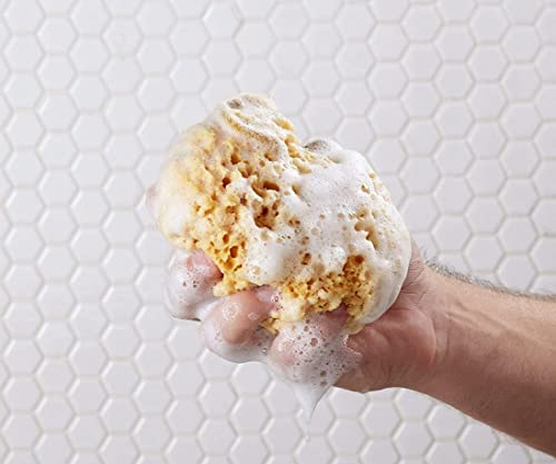 Bulldog Mens Skincare And Grooming Body Wash, Lemon And Bergamot, Lemon, 16.9 Fluid Ounce #TOP3