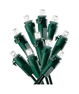 Celebrations LED LED Micro Light Set Warm White 24.75 ft. 100 lights