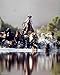 Cowboy Roundup Horses Old West Western Room Decor Picture Art Print Poster (16x20)