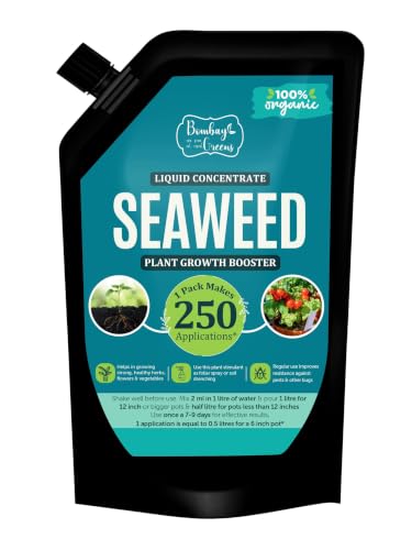 Image of Bombay Greens Organic Seaweed Liquid Booster Home garden, Flowers, Vegetables, Fruits, Herbs | Seaweed for flowering plants and all Outdoor Plants - 250 ml