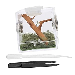 Partykindom 1Satz Spinnen Terrarium Set