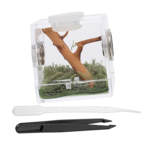 Partykindom 1Satz Spinnen Terrarium Set