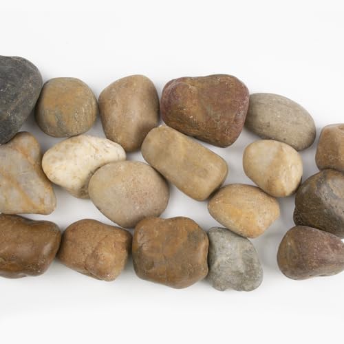Image of 10LB Mixed Stones Pebbles River Rocks, Natural Beach Pebbles,1-2 Inch Decorative River Rocks for Landscaping Garden Paving Plant Rocks Crafting Walkways and Outdoor Decorative Stone